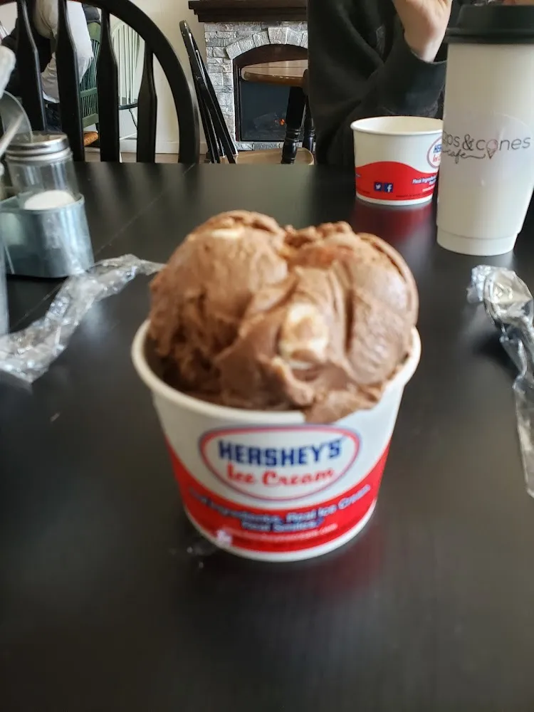 Flavors of Hershey Ice Cream