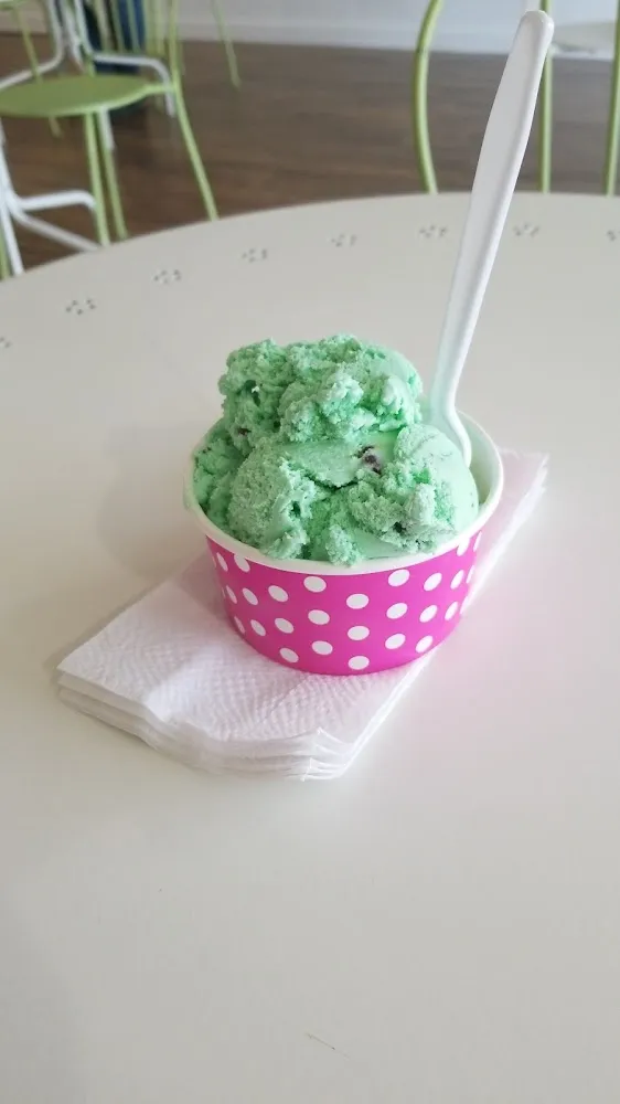 Mint Chocolate Chip Ice Cream